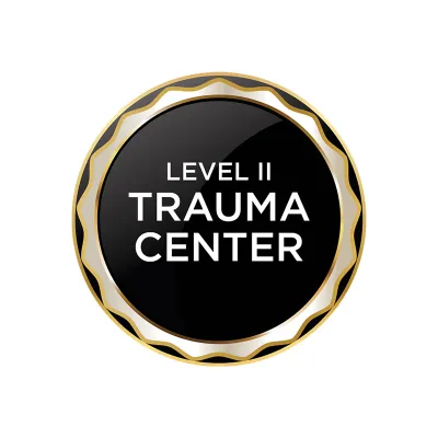 State of Illinois Accredited Level 2 Trauma Centers